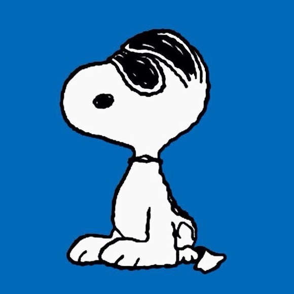 Other - Don’t Be Shy, Snoopy. Make an Offer. Other - Don’t Be Shy, Snoopy. Make an Offer.